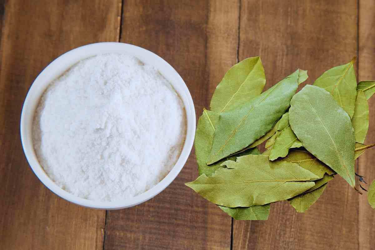 il detergente a base di bicarbonato e alloro