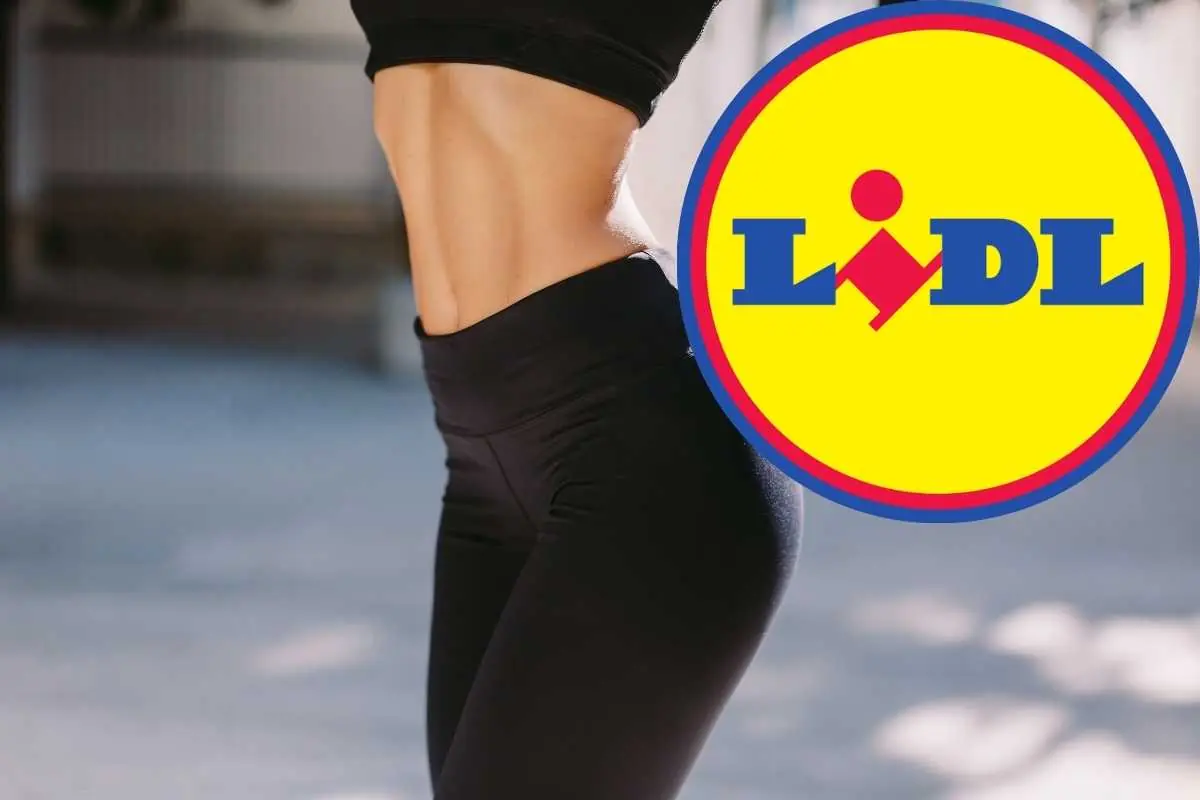 abbigliaento lidl offerte