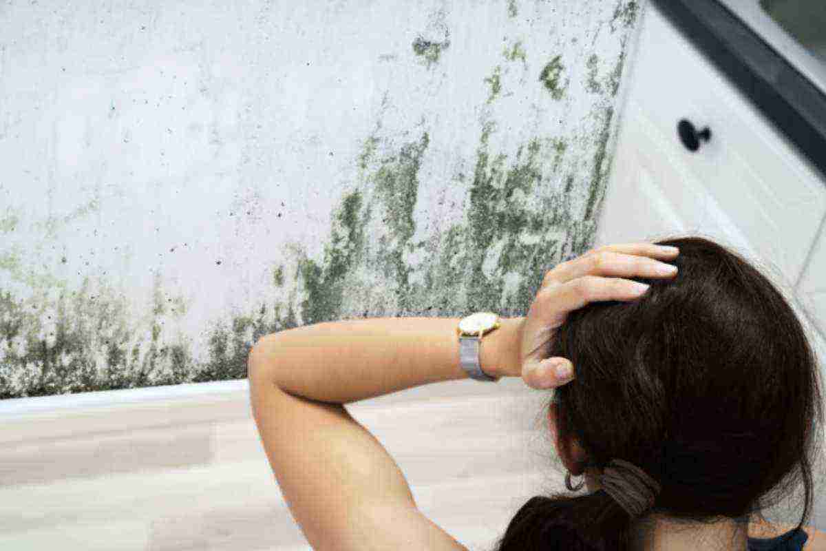 Questi fenomeni non rappresentano solo un danno estetico per le pareti, ma costituiscono anche un rischio per la salute degli abitanti