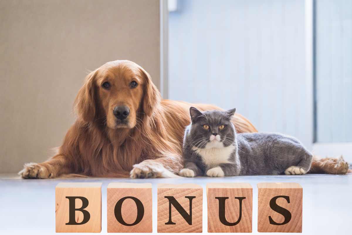 Bonus animali domestici, sono 2 le agevolazioni che nessuno conosce